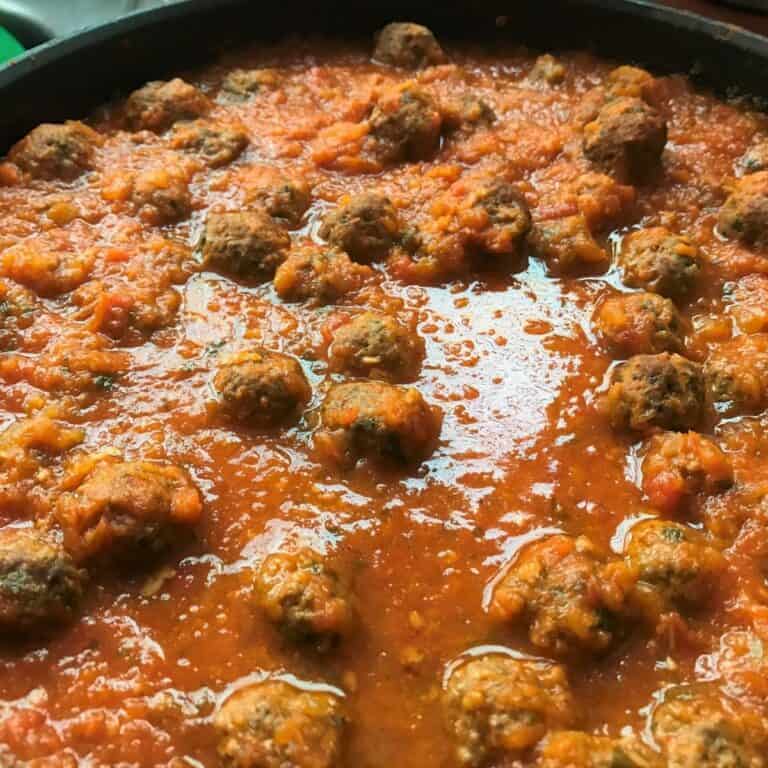 Savory meatball stew in rich tomato sauce, perfect for pet dogs with nutritious ingredients, homemade pet food recipe, hypoallergenic, balanced diet, pet wellness, small batch cooking, pet-friendly meal.