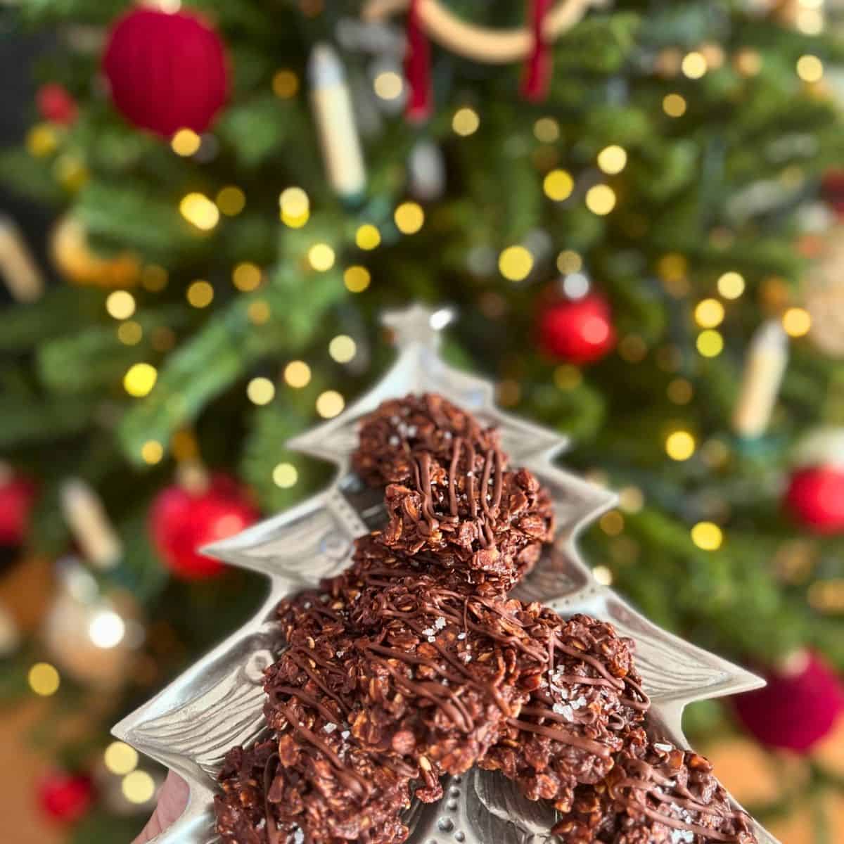 Gluten Free oat chocolate cookies
